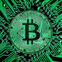 CryptoDogu (@cryptodogu) 's Twitter Profile