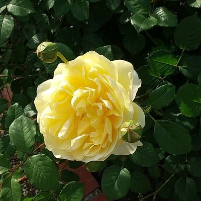 smileca244's profile picture. SMAP 大好き 特に剛君推し。
佐藤健。
関西住み