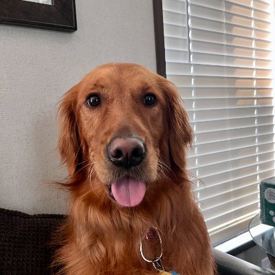 chrisgleason's profile picture. Just a man living the dream.