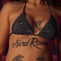 Nerd Raven (@nerdraven_) 's Twitter Profile