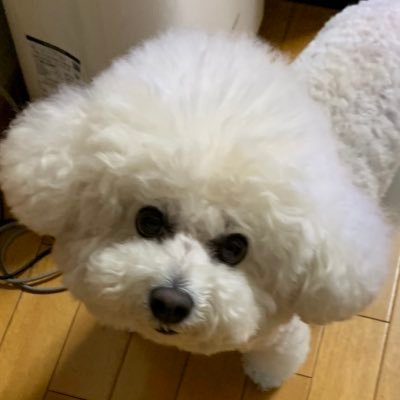 ザスト民から大人BESTY😁リョウキ推し強強強めの箱📦推しのBMSG🏡推し❤️ 彼らが世界へ羽ばたく姿をみたい‼️応援し続けまーす📣無言フォロー失礼します🙇♀️こちらは大歓迎です😊HANAも応援してる💐ラスピにも“夢中”