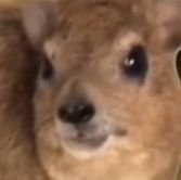 random9ap's profile picture. 