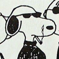 sheef (@shifpapi) 's Twitter Profile Photo