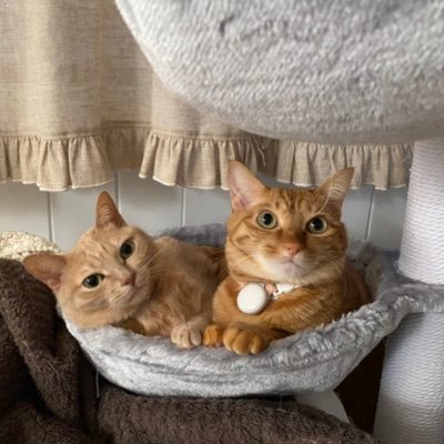 Chelsea90051551's profile picture. BE:FIRST🐲🐉📦 東京住み。🐲 GLAY歴28年pillows歴17年髭歴15年.推しは増やさないつもりがとんでもないグループに出会ってしまった。超超大人アキテク FES両日、ファンミ有明、大阪、名古屋、福岡、新潟