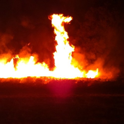 chief380's profile picture. 