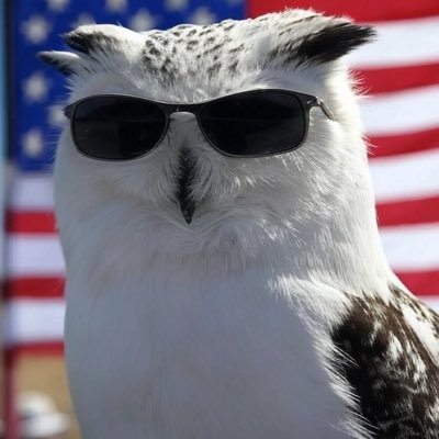 I’ve traveled the world from China to Namibia, and love America.