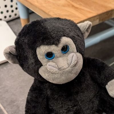 DefinitelyJason's profile picture. Failed operator, mediocre engineer, and occasional investor | I dig healthcare, biology, science, and computing