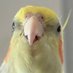 ã¿ã³ã¯ããããªã«ã¡ (@tanktop_okame) Twitter profile photo ã¿ã³ã¯ããããªã«ã¡ (@tanktop_okame) Twitter profile photo
