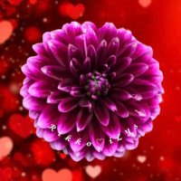 𝓡𝓲𝓴𝓴𝓸ꕥ𝓲𝓛𝓨𝓼🌈💜♥️️ (@rikko_ks29) 's Twitter Profile Photo 𝓡𝓲𝓴𝓴𝓸ꕥ𝓲𝓛𝓨𝓼🌈💜♥️️ (@rikko_ks29) 's Twitter Profile Photo