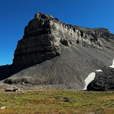 davidpersonius's profile picture. 