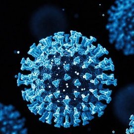 konichiwa3212's profile picture. ZQS8N2TX