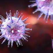 mariorodolfoaya's profile picture. PPAT76VS