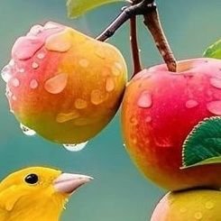 Doctorwardak's profile picture. M.Public Administration
Pharmacy