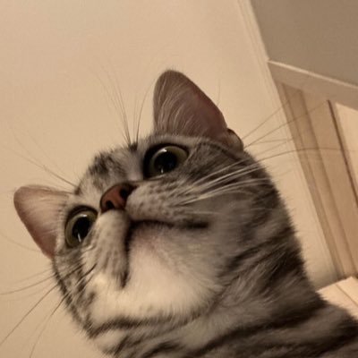 絶対億る🕹がんばらないけどへこたれない