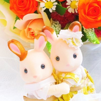 うがちゃんさんのプロフィール画像