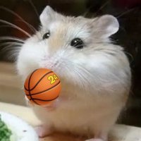 ์ฅ์ค๊ฒธ (@blue_nomdle) 's Twitter Profile Photo ์ฅ์ค๊ฒธ (@blue_nomdle) 's Twitter Profile Photo