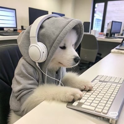 dn leeさんのプロフィール画像