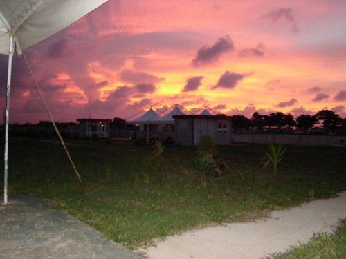 dongo333's profile picture. 