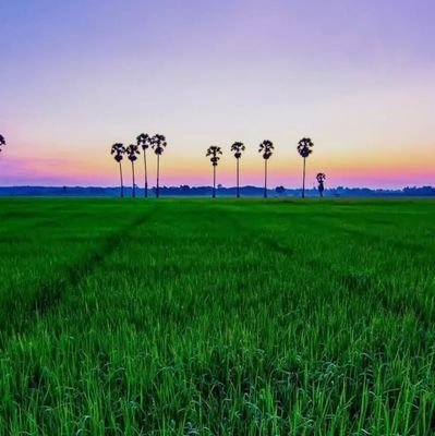 Msreddy28656830's profile picture. Hi