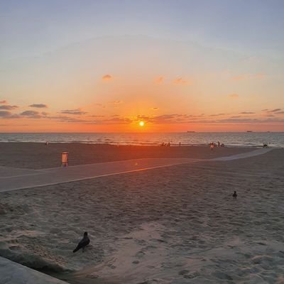 GileadM4's profile picture. 