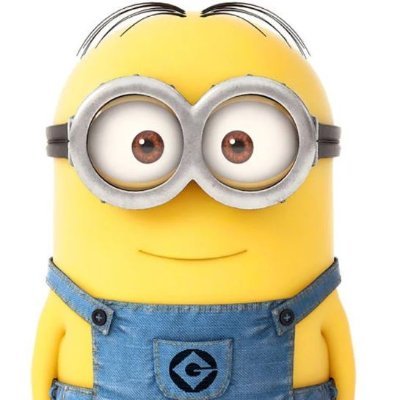Minion Capital LLC
