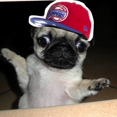 AJbustos_'s profile picture. 