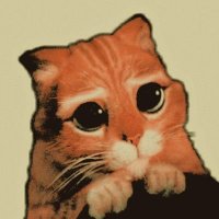 ΰΏ π π
π
π
π
π
πππΌπ½π½π ππΌπ½π½πβα°α© (@legendarygato) 's Twitter Profile
