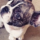 OurCaetano's profile picture. ”Apesar de tudo, você ainda é a primeira coisa em que eu penso quando me falam: Faça um pedido!” @ChayLeao. Desde: 03/02/2012.