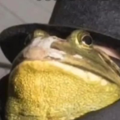 matteolicul's profile picture. boolin’