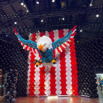 BavliTalmudBee's profile picture. 🇺🇸 🇮🇱