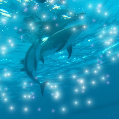 BE_01187's profile picture. THE FIRSTのソウタのダンスに一目惚れ♡ソウマナ成分で生きてます( ᷇𖥦 ᷆ )スタライでシュントに恋しました💘ソウシュンくれ🐬🧢／SMS🎤／周りにBESTYのお友達居ないので仲良くしてください🙌無言フォロー失礼します😖色々語りたくなっちゃう人🍓 next⇒2025.2.2 京セラドーム