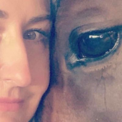 Animal lover, Trump supporter, Law Enforcement for life. Mom to one, love my son, cats, horses, and most of all country! 🇺🇸👮🐎