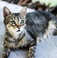 favour45110's profile picture. 