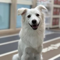 say2 (@say___2) 's Twitter Profile