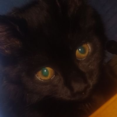 BrayBray512417's profile picture. 