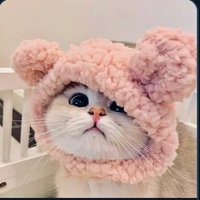 Aizen (@everythingx__) 's Twitter Profile