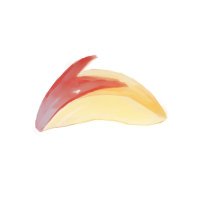 QED (@qedvd) 's Twitter Profile