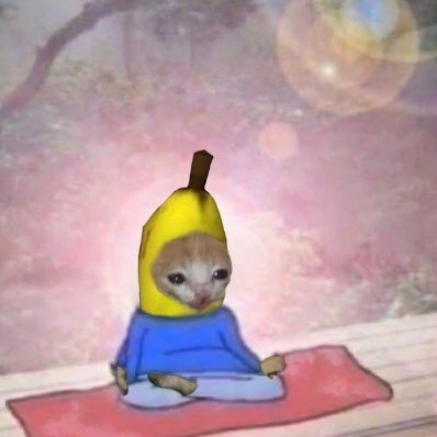 AndreNader24's profile picture. 💪 Strength Coach | ⚒️ Entrepreneur/Business Owner |