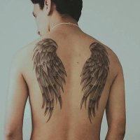 David Scaglia (@pillointsurcdmx) 's Twitter Profile
