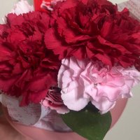 きぃ (@sho_kiyo0129) 's Twitter Profile