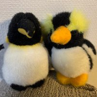 ジュリ (@guvtkcduemt5sn8) 's Twitter Profile