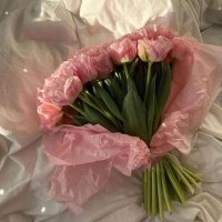 moryygap²⁴ (@evolve_11) 's Twitter Profile