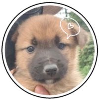 sig ☺︎ (@sigco1023) 's Twitter Profile