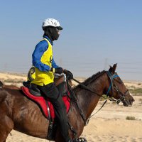 🐎 (@sul_o2) 's Twitter Profile