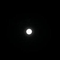 al (@ifhtulsina) 's Twitter Profile