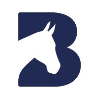 Bransby Horses (@bransbyhorses) 's Twitter Profile