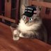 Emperor of Ephebophilia⚜️ (@ephebophiliafan) Twitter profile photo Emperor of Ephebophilia⚜️ (@ephebophiliafan) Twitter profile photo