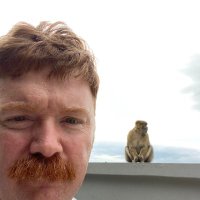 Steve F (@stevefaos) 's Twitter Profile Photo Steve F (@stevefaos) 's Twitter Profile Photo