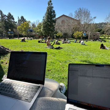 bercik60's profile picture. 