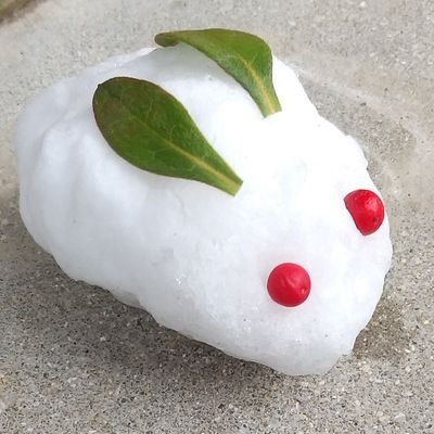 メトロポリタンイクモさんのプロフィール画像
